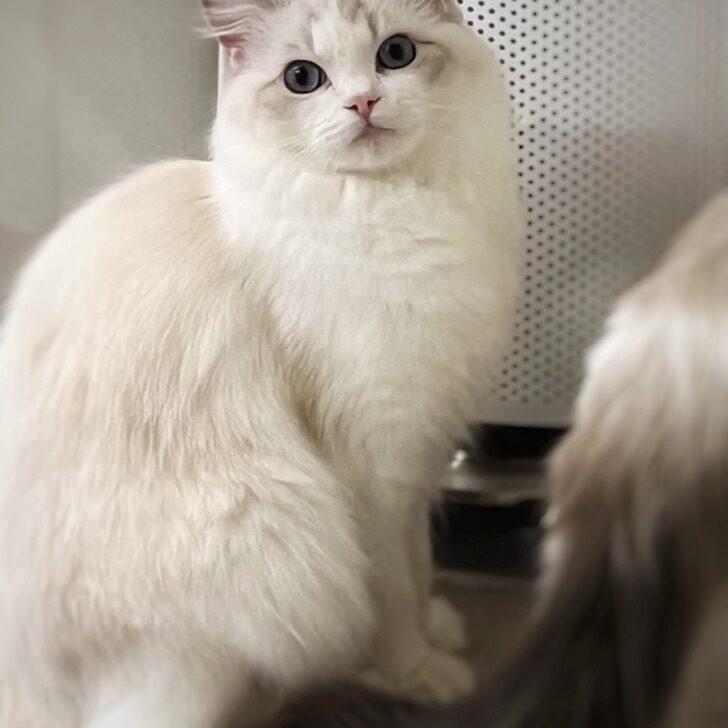 img_8112-1.jpg Img 8112 1.jpg