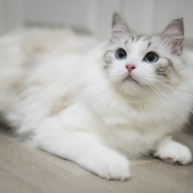 fullsizerender-1.jpg Fullsizerender 1.jpg