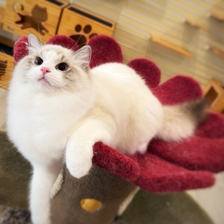 img_7156-1.jpg Img 7156 1.jpg